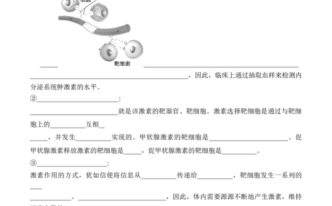 第3章体液调节（填空版）_2025年新高考资料_专项复习_晨读晚默备战2025年高考生物必背知识清单_第3章体液调节-晨读晚默备战2025年高考生物必背知识清单