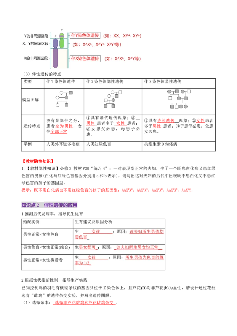 第17讲伴性遗传和人类遗传病（讲义）（解析版）_2025年新高考资料_一轮复习_2025年高考生物一轮复习讲练测（新教材新高考）