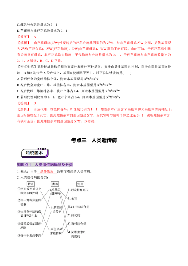 第17讲伴性遗传和人类遗传病（讲义）（解析版）_2025年新高考资料_一轮复习_2025年高考生物一轮复习讲练测（新教材新高考）
