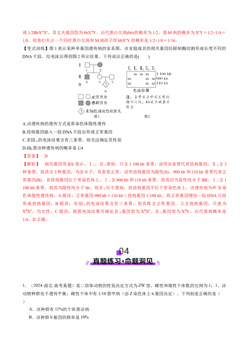 第17讲伴性遗传和人类遗传病（讲义）（解析版）_2025年新高考资料_一轮复习_2025年高考生物一轮复习讲练测（新教材新高考）
