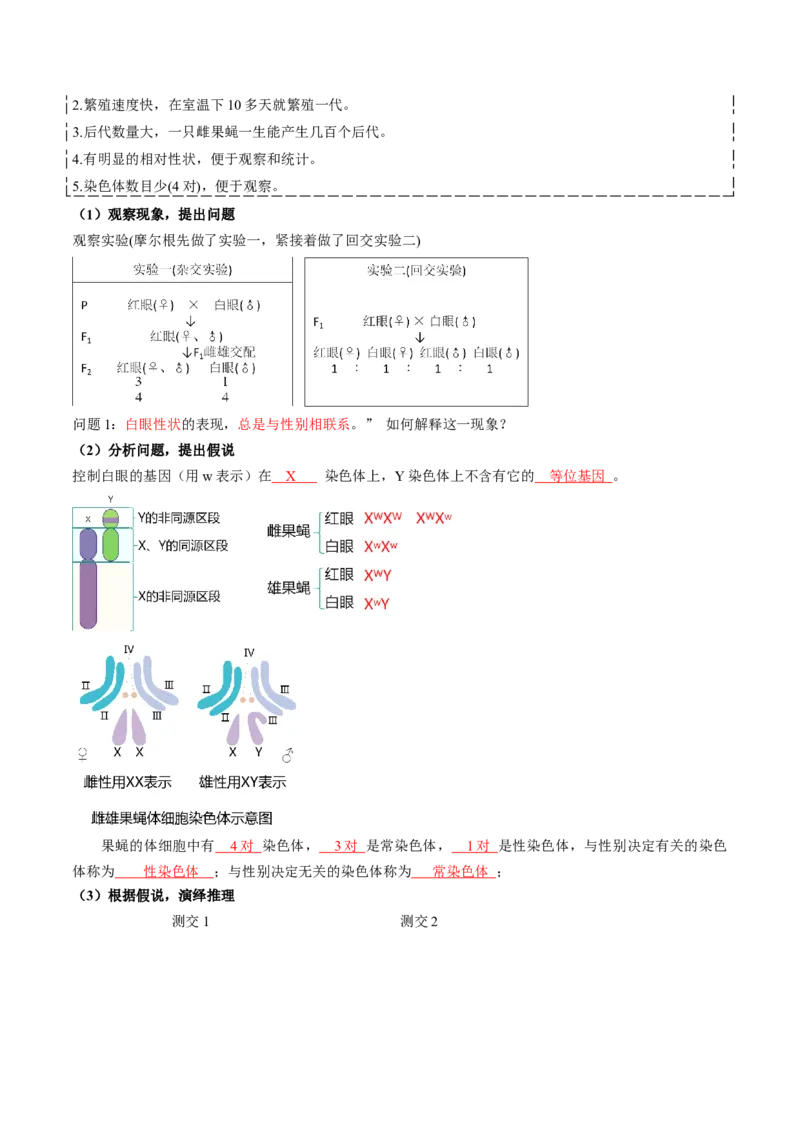 第17讲伴性遗传和人类遗传病（讲义）（解析版）_2025年新高考资料_一轮复习_2025年高考生物一轮复习讲练测（新教材新高考）
