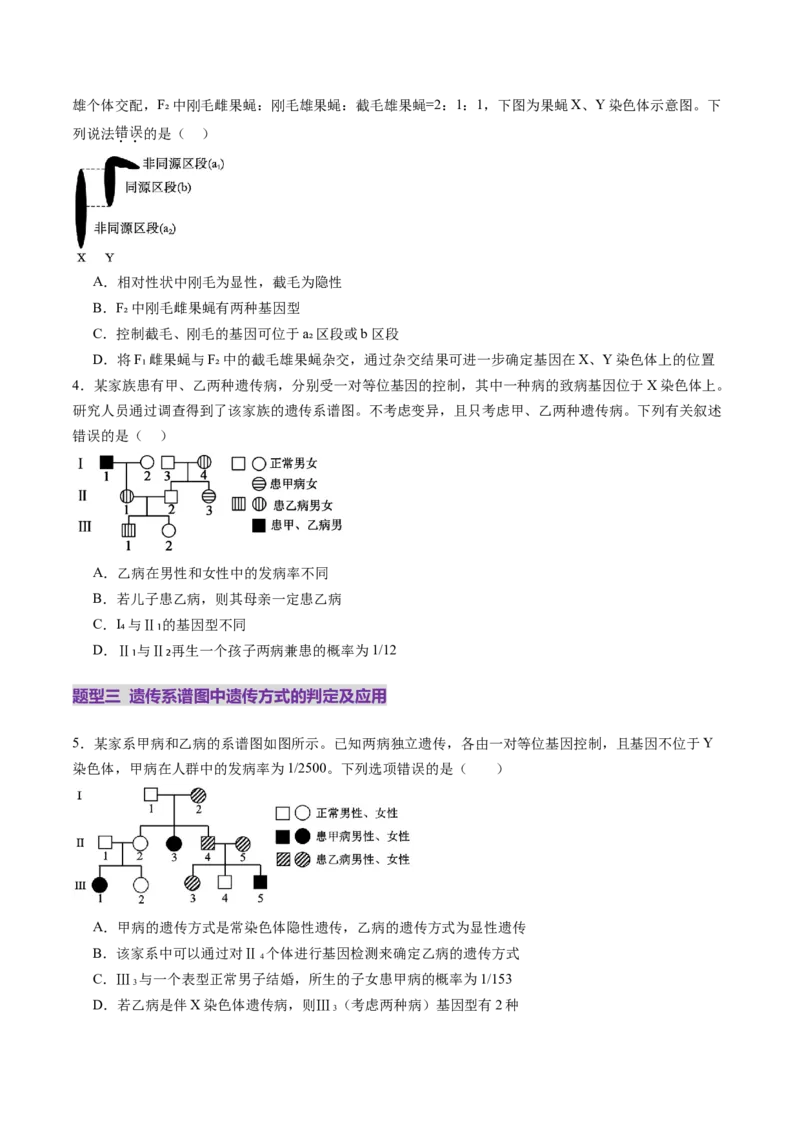 第17讲伴性遗传和人类遗传病（练习）（原卷版）_2025年新高考资料_一轮复习_2025年高考生物一轮复习讲练测（新教材新高考）