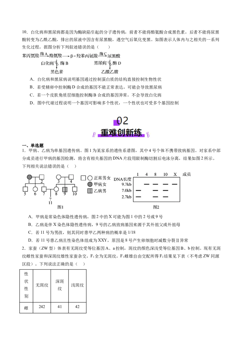第17讲伴性遗传和人类遗传病（练习）（原卷版）_2025年新高考资料_一轮复习_2025年高考生物一轮复习讲练测（新教材新高考）