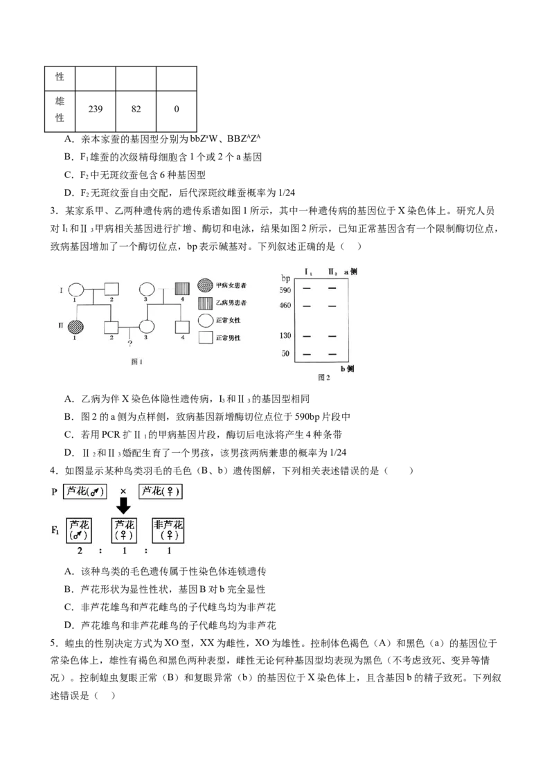 第17讲伴性遗传和人类遗传病（练习）（原卷版）_2025年新高考资料_一轮复习_2025年高考生物一轮复习讲练测（新教材新高考）