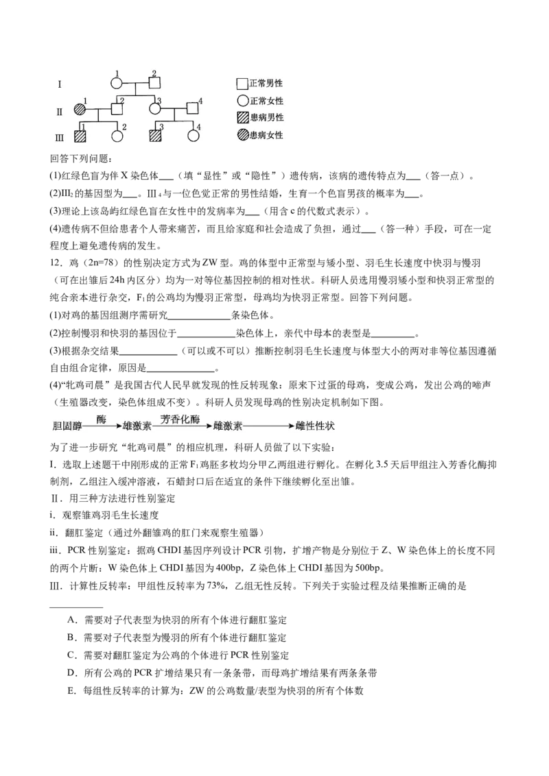 第17讲伴性遗传和人类遗传病（练习）（原卷版）_2025年新高考资料_一轮复习_2025年高考生物一轮复习讲练测（新教材新高考）