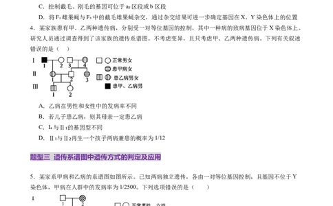 第17讲伴性遗传和人类遗传病（练习）（原卷版）_2025年新高考资料_一轮复习_2025年高考生物一轮复习讲练测（新教材新高考）