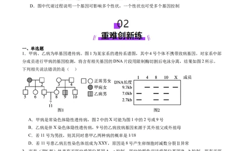 第17讲伴性遗传和人类遗传病（练习）（原卷版）_2025年新高考资料_一轮复习_2025年高考生物一轮复习讲练测（新教材新高考）