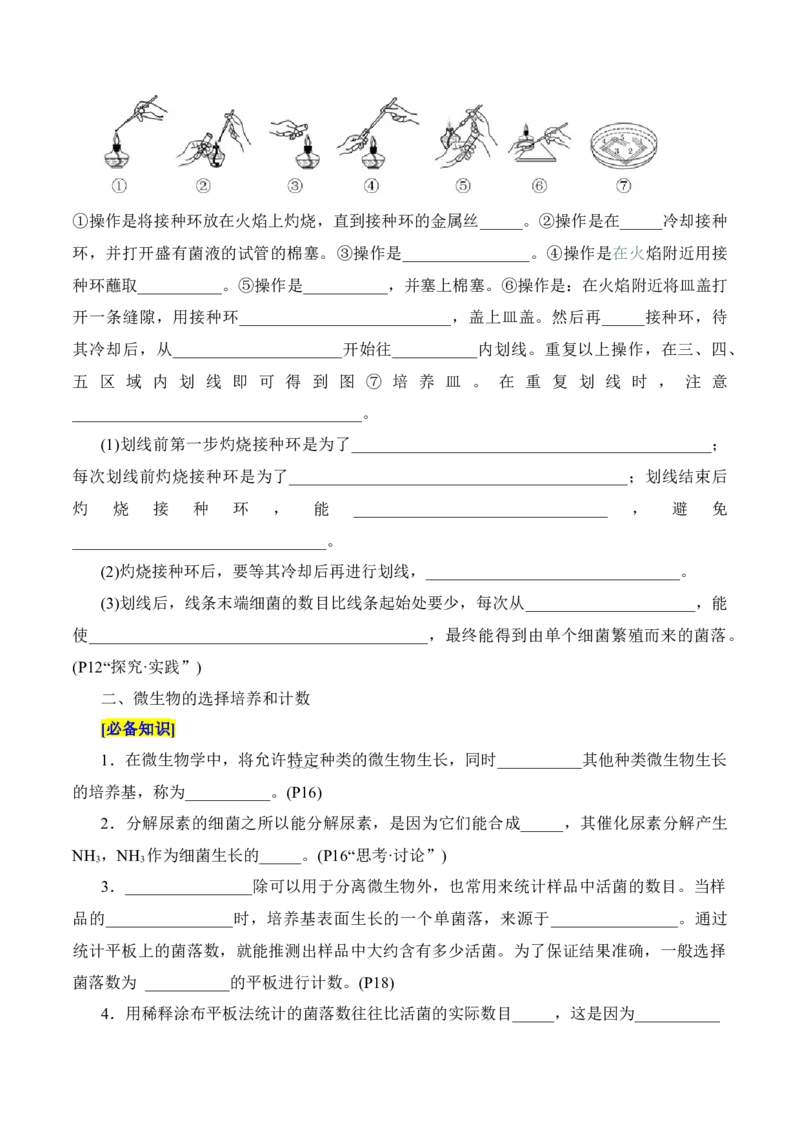 第1章发酵工程（填空版）_2025年新高考资料_专项复习_晨读晚默备战2025年高考生物必背知识清单_第1章发酵工程-晨读晚默备战2025年高考生物必背知识清单
