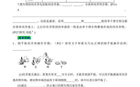 第1章发酵工程（填空版）_2025年新高考资料_专项复习_晨读晚默备战2025年高考生物必背知识清单_第1章发酵工程-晨读晚默备战2025年高考生物必背知识清单