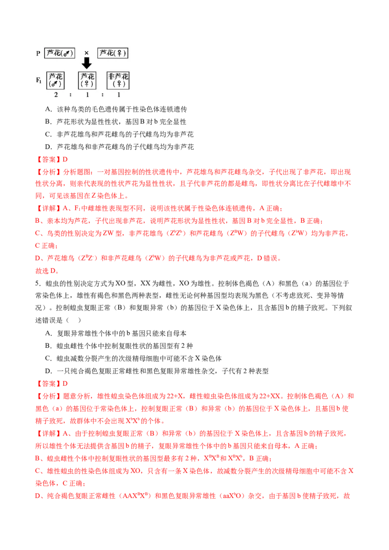 第17讲伴性遗传和人类遗传病（练习）（解析版）_2025年新高考资料_一轮复习_2025年高考生物一轮复习讲练测（新教材新高考）