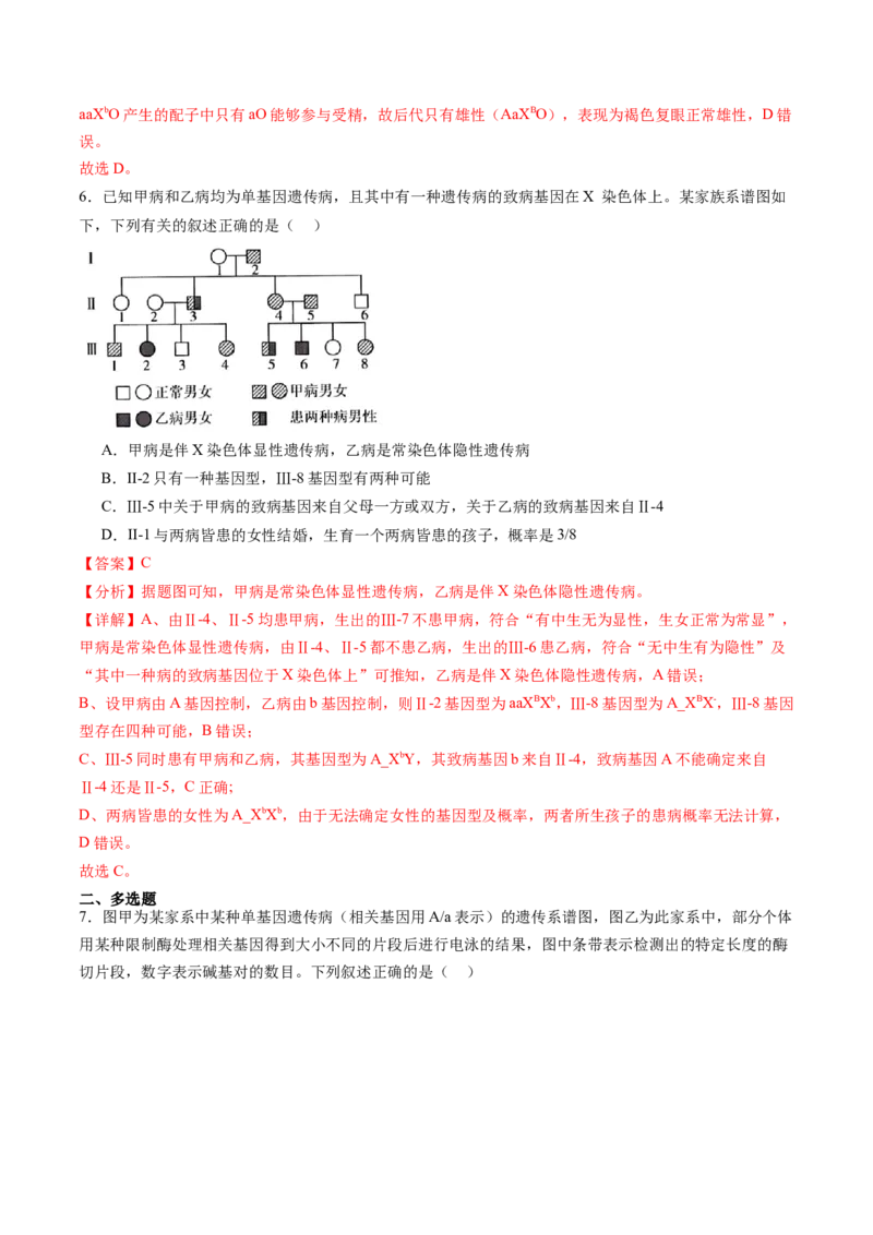 第17讲伴性遗传和人类遗传病（练习）（解析版）_2025年新高考资料_一轮复习_2025年高考生物一轮复习讲练测（新教材新高考）