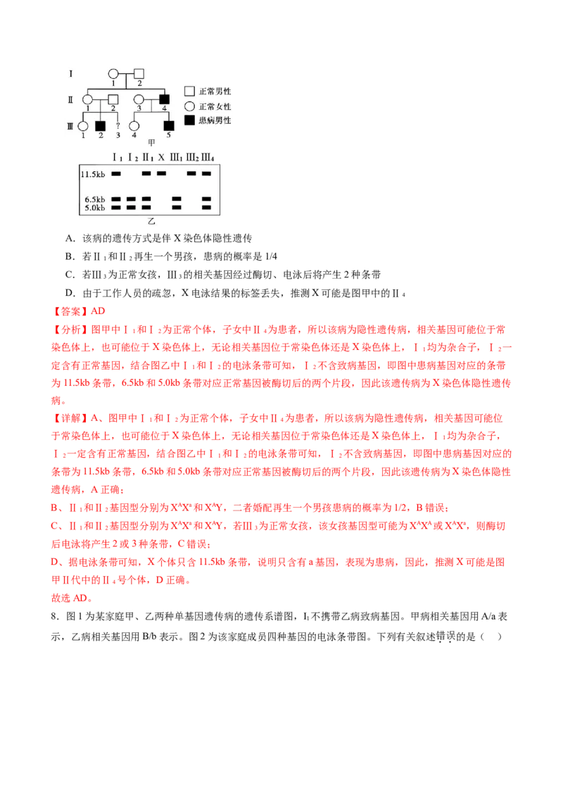 第17讲伴性遗传和人类遗传病（练习）（解析版）_2025年新高考资料_一轮复习_2025年高考生物一轮复习讲练测（新教材新高考）