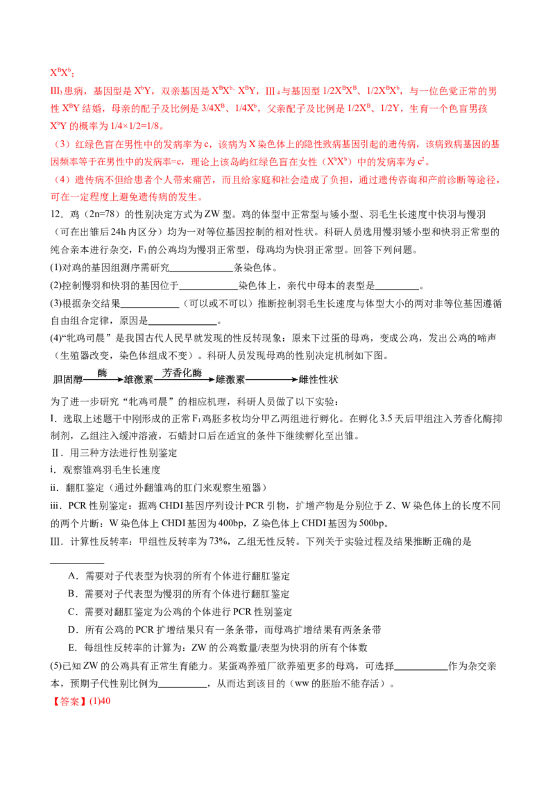 第17讲伴性遗传和人类遗传病（练习）（解析版）_2025年新高考资料_一轮复习_2025年高考生物一轮复习讲练测（新教材新高考）