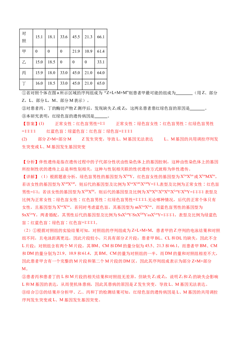 第17讲伴性遗传和人类遗传病（练习）（解析版）_2025年新高考资料_一轮复习_2025年高考生物一轮复习讲练测（新教材新高考）