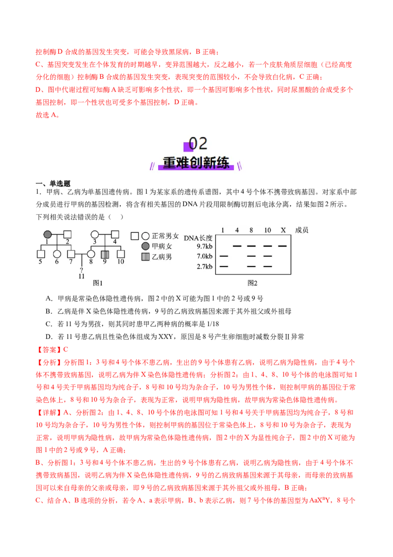 第17讲伴性遗传和人类遗传病（练习）（解析版）_2025年新高考资料_一轮复习_2025年高考生物一轮复习讲练测（新教材新高考）