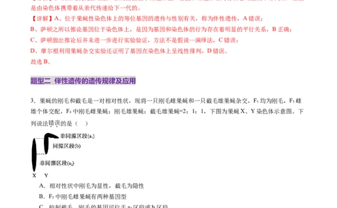 第17讲伴性遗传和人类遗传病（练习）（解析版）_2025年新高考资料_一轮复习_2025年高考生物一轮复习讲练测（新教材新高考）