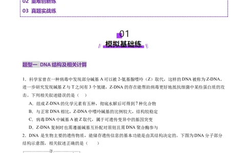 第20讲DNA分子的结构、复制与基因的本质（练习）（原卷版）_2025年新高考资料_一轮复习_2025年高考生物一轮复习讲练测（新教材新高考）