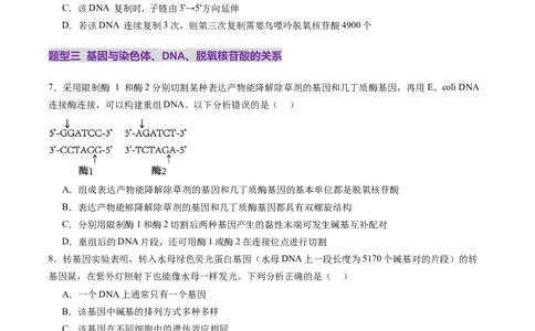 第20讲DNA分子的结构、复制与基因的本质（练习）（原卷版）_2025年新高考资料_一轮复习_2025年高考生物一轮复习讲练测（新教材新高考）