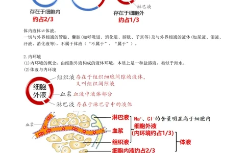 第25讲内环境与稳态（讲义）（学生版）_新高考复习资料_2024年新高考复习资料_一轮复习资料_完2024年高考生物一轮复习讲练测(课件+讲义+练习)（新高考）_讲义+练习