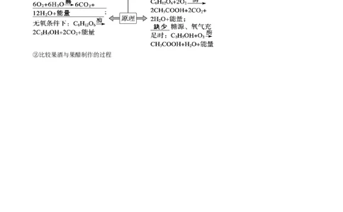 第38讲传统发酵技术和发酵工程的应用（讲义）（学生版）_新高考复习资料_2024年新高考复习资料_一轮复习资料_完2024年高考生物一轮复习讲练测(课件+讲义+练习)（新高考）_讲义+练习