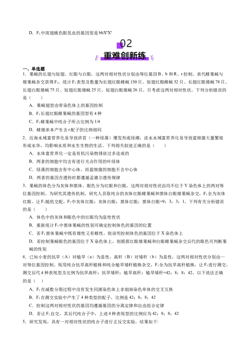 第18讲遗传综合实验分析（练习）（原卷版）_2025年新高考资料_一轮复习_2025年高考生物一轮复习讲练测（新教材新高考）
