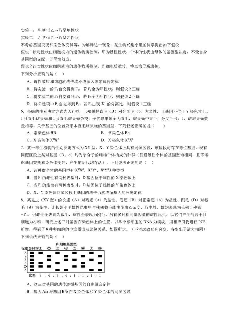 第18讲遗传综合实验分析（练习）（原卷版）_2025年新高考资料_一轮复习_2025年高考生物一轮复习讲练测（新教材新高考）