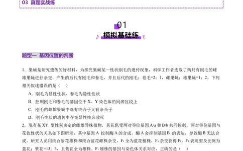 第18讲遗传综合实验分析（练习）（原卷版）_2025年新高考资料_一轮复习_2025年高考生物一轮复习讲练测（新教材新高考）