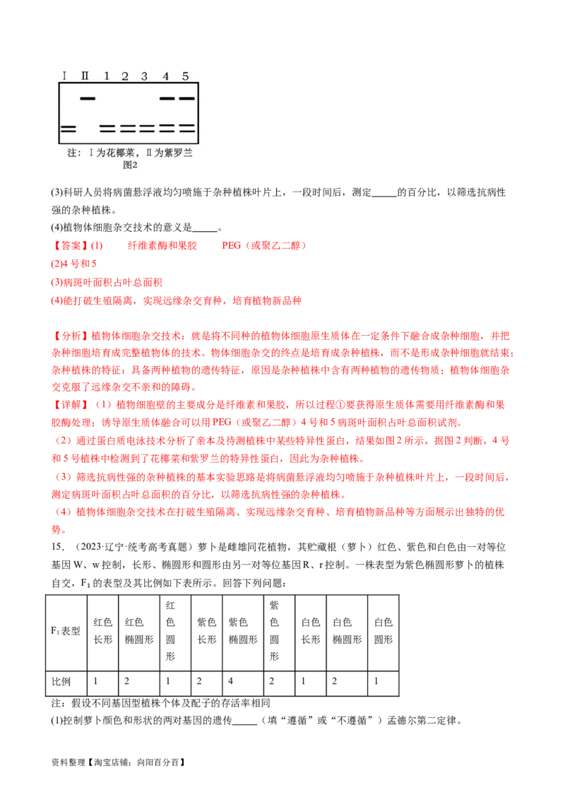 第40讲植物细胞工程（练习）（解析版）_新高考复习资料_2024年新高考复习资料_一轮复习资料_完2024年高考生物一轮复习讲练测(课件+讲义+练习)（新高考）_讲义+练习