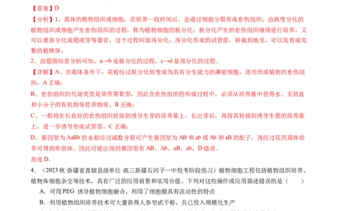 第40讲植物细胞工程（练习）（解析版）_新高考复习资料_2024年新高考复习资料_一轮复习资料_完2024年高考生物一轮复习讲练测(课件+讲义+练习)（新高考）_讲义+练习