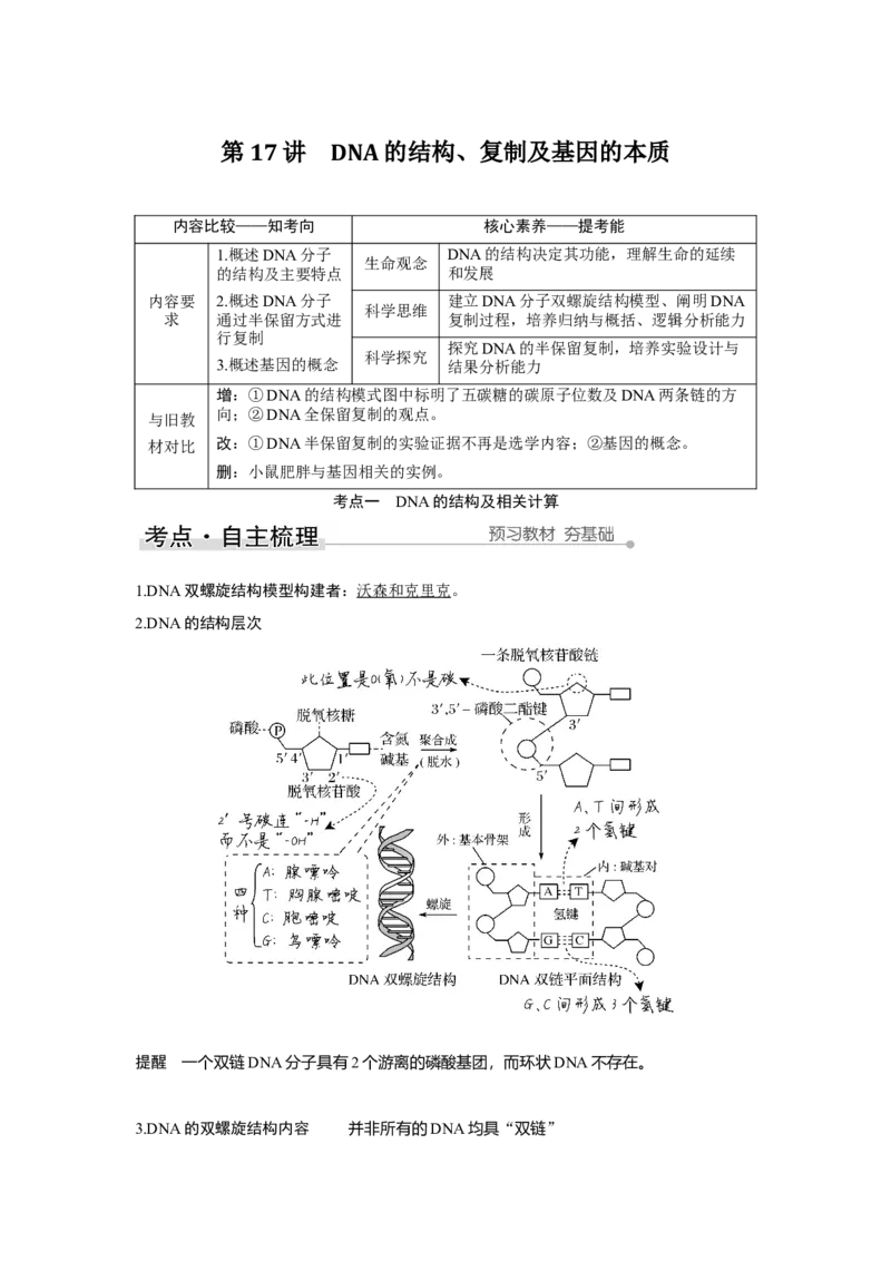 第17讲　DNA的结构、复制及基因的本质_新高考复习资料_2023年新高考复习资料_一轮复习_2023年新高考大一轮复习讲义_2023年高考生物一轮复习讲义（新人教新高考）_赠补充习题