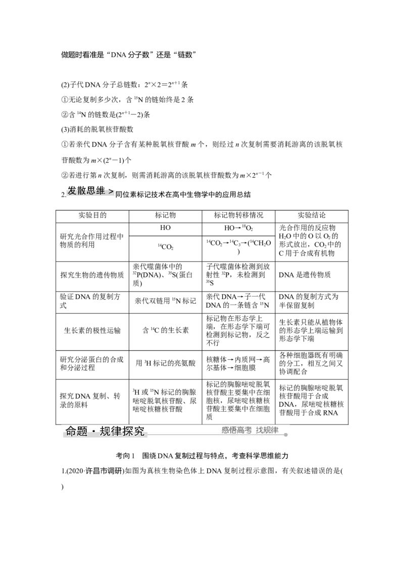第17讲　DNA的结构、复制及基因的本质_新高考复习资料_2023年新高考复习资料_一轮复习_2023年新高考大一轮复习讲义_2023年高考生物一轮复习讲义（新人教新高考）_赠补充习题