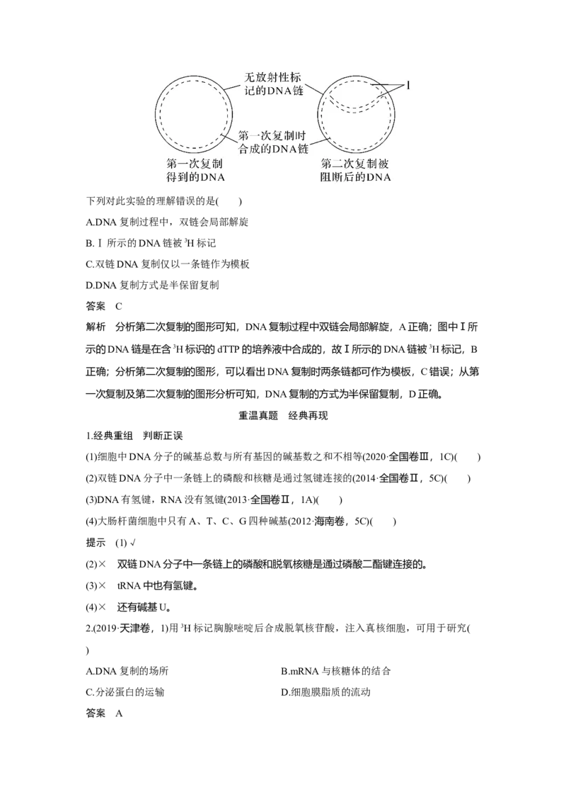 第17讲　DNA的结构、复制及基因的本质_新高考复习资料_2023年新高考复习资料_一轮复习_2023年新高考大一轮复习讲义_2023年高考生物一轮复习讲义（新人教新高考）_赠补充习题