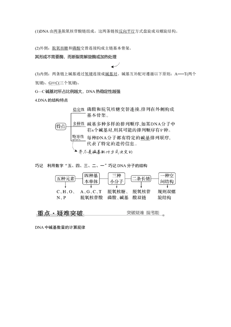 第17讲　DNA的结构、复制及基因的本质_新高考复习资料_2023年新高考复习资料_一轮复习_2023年新高考大一轮复习讲义_2023年高考生物一轮复习讲义（新人教新高考）_赠补充习题