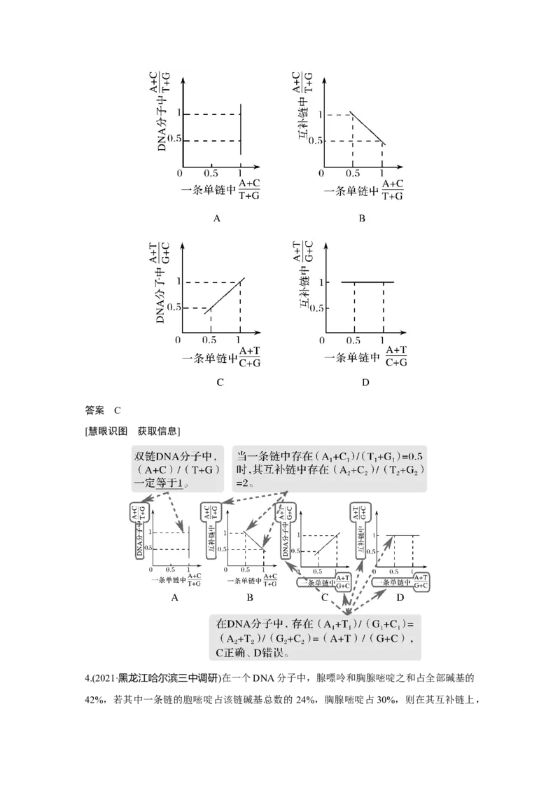 第17讲　DNA的结构、复制及基因的本质_新高考复习资料_2023年新高考复习资料_一轮复习_2023年新高考大一轮复习讲义_2023年高考生物一轮复习讲义（新人教新高考）_赠补充习题