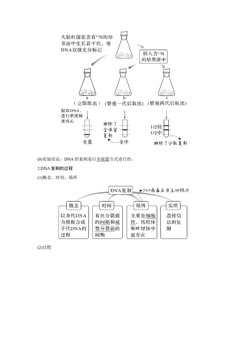 第17讲　DNA的结构、复制及基因的本质_新高考复习资料_2023年新高考复习资料_一轮复习_2023年新高考大一轮复习讲义_2023年高考生物一轮复习讲义（新人教新高考）_赠补充习题