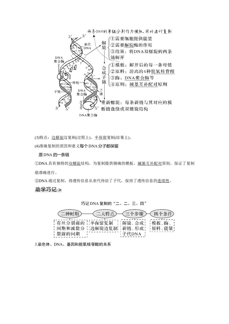 第17讲　DNA的结构、复制及基因的本质_新高考复习资料_2023年新高考复习资料_一轮复习_2023年新高考大一轮复习讲义_2023年高考生物一轮复习讲义（新人教新高考）_赠补充习题