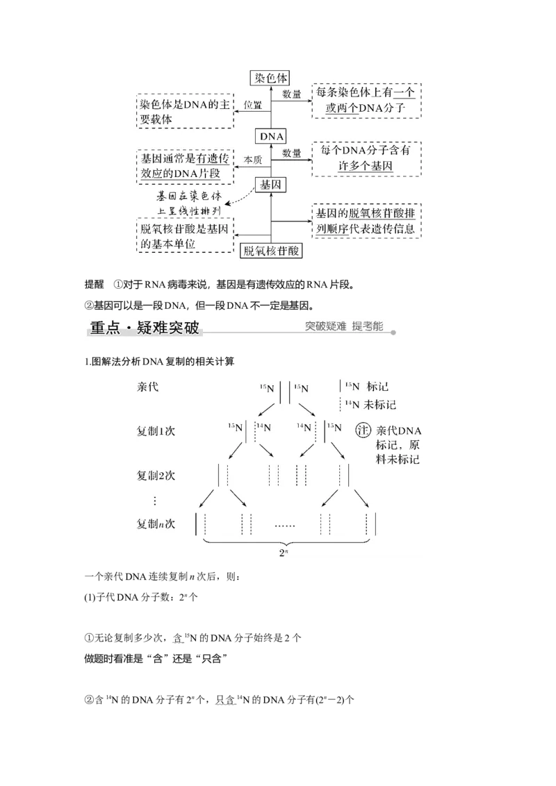 第17讲　DNA的结构、复制及基因的本质_新高考复习资料_2023年新高考复习资料_一轮复习_2023年新高考大一轮复习讲义_2023年高考生物一轮复习讲义（新人教新高考）_赠补充习题