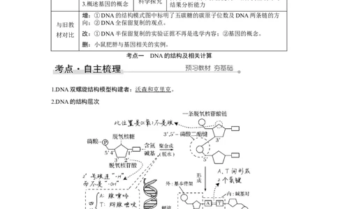第17讲　DNA的结构、复制及基因的本质_新高考复习资料_2023年新高考复习资料_一轮复习_2023年新高考大一轮复习讲义_2023年高考生物一轮复习讲义（新人教新高考）_赠补充习题