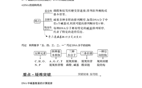 第17讲　DNA的结构、复制及基因的本质_新高考复习资料_2023年新高考复习资料_一轮复习_2023年新高考大一轮复习讲义_2023年高考生物一轮复习讲义（新人教新高考）_赠补充习题