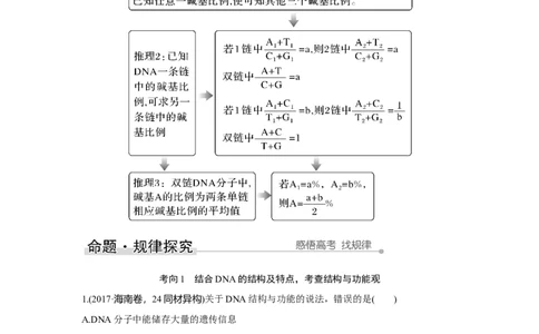 第17讲　DNA的结构、复制及基因的本质_新高考复习资料_2023年新高考复习资料_一轮复习_2023年新高考大一轮复习讲义_2023年高考生物一轮复习讲义（新人教新高考）_赠补充习题