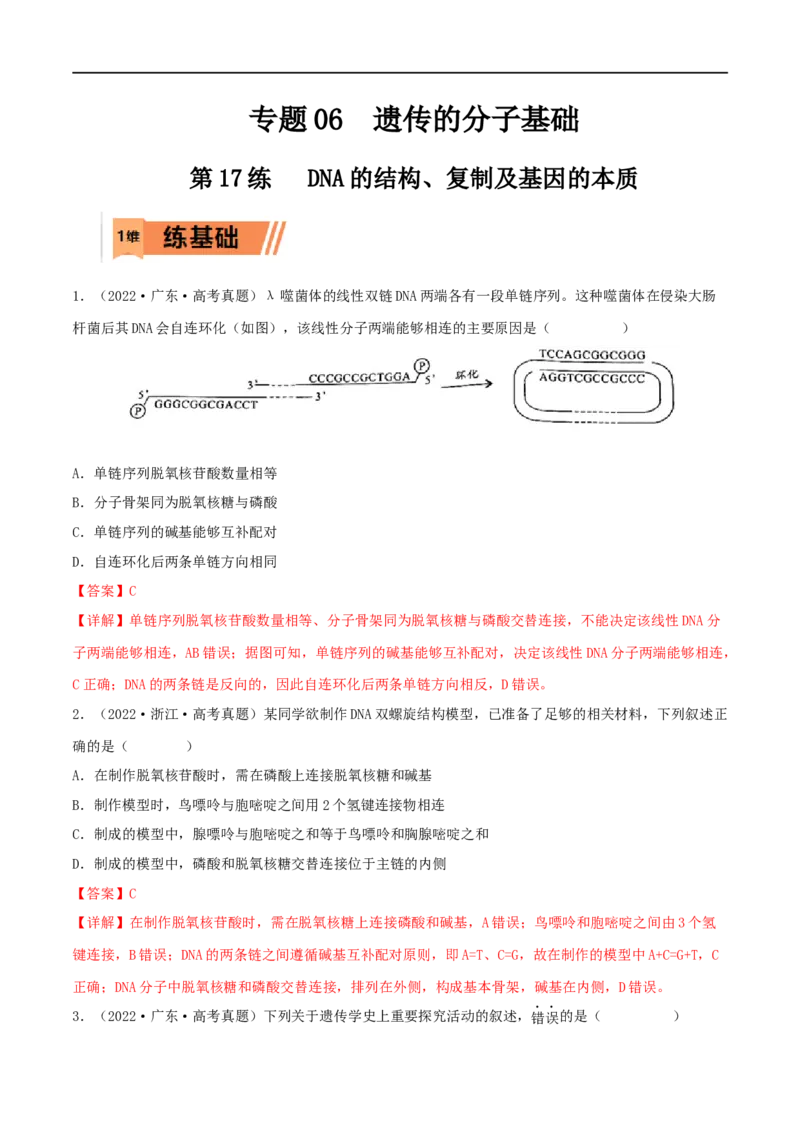 第17练DNA的结构、复制及基因的本质（解析版）_新高考复习资料_2023年新高考复习资料_一轮复习_2023年高考生物一轮复习小题多维练（新高考专用）