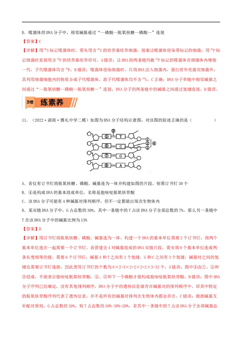 第17练DNA的结构、复制及基因的本质（解析版）_新高考复习资料_2023年新高考复习资料_一轮复习_2023年高考生物一轮复习小题多维练（新高考专用）