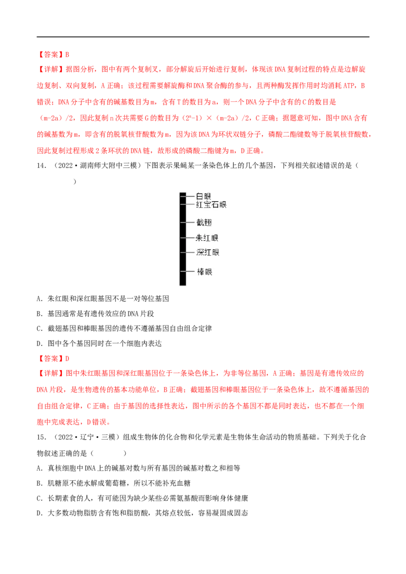 第17练DNA的结构、复制及基因的本质（解析版）_新高考复习资料_2023年新高考复习资料_一轮复习_2023年高考生物一轮复习小题多维练（新高考专用）