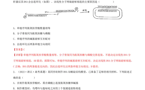 第17练DNA的结构、复制及基因的本质（解析版）_新高考复习资料_2023年新高考复习资料_一轮复习_2023年高考生物一轮复习小题多维练（新高考专用）