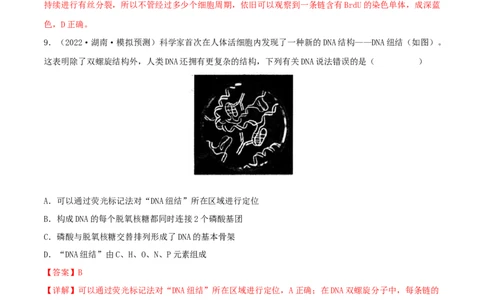 第17练DNA的结构、复制及基因的本质（解析版）_新高考复习资料_2023年新高考复习资料_一轮复习_2023年高考生物一轮复习小题多维练（新高考专用）