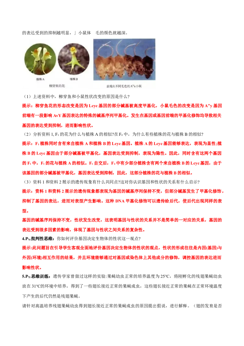 第4章基因的表达-查漏补缺2023年高考生物一轮复习教材必背细节与旁栏思考梳理汇总（新教材）（答案版）_新高考复习资料_2023年新高考复习资料_一轮复习