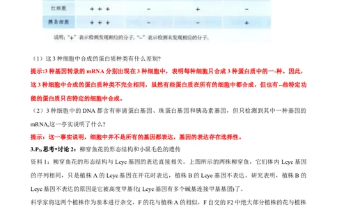 第4章基因的表达-查漏补缺2023年高考生物一轮复习教材必背细节与旁栏思考梳理汇总（新教材）（答案版）_新高考复习资料_2023年新高考复习资料_一轮复习