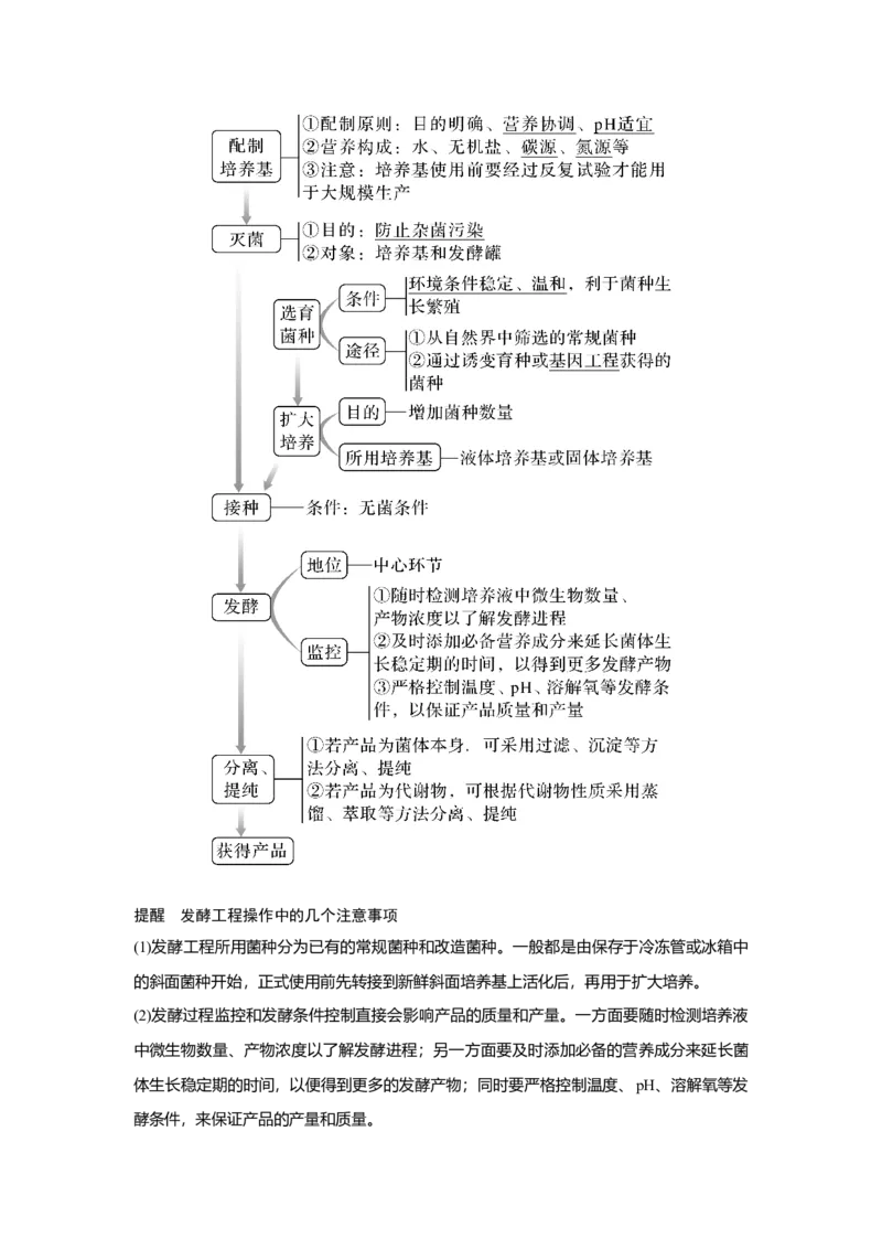 第32讲　传统发酵技术的应用与发酵工程_新高考复习资料_2023年新高考复习资料_一轮复习_2023年新高考大一轮复习讲义_2023年高考生物一轮复习讲义（新人教新高考）_赠补充习题