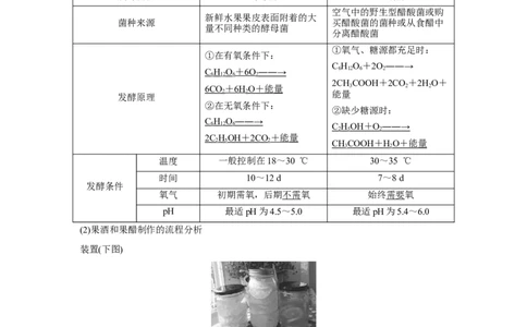 第32讲　传统发酵技术的应用与发酵工程_新高考复习资料_2023年新高考复习资料_一轮复习_2023年新高考大一轮复习讲义_2023年高考生物一轮复习讲义（新人教新高考）_赠补充习题