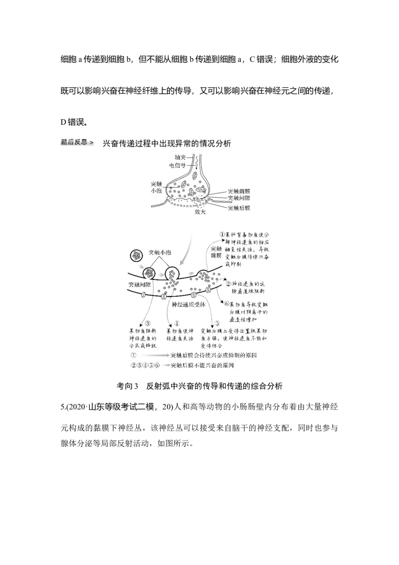 第23讲神经调节_通用版（老高考）复习资料_2023年复习资料_一轮复习_2023年高考生物一轮复习讲义+课件（全国版）_2023年高考生物一轮复习讲义（全国版）_赠补充习题